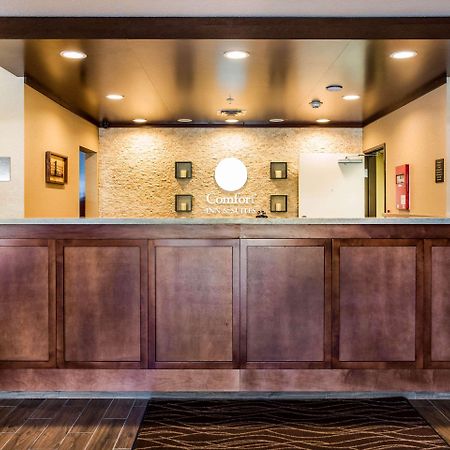 Comfort Inn & Suites Niagara Falls Blvd Usa Esterno foto